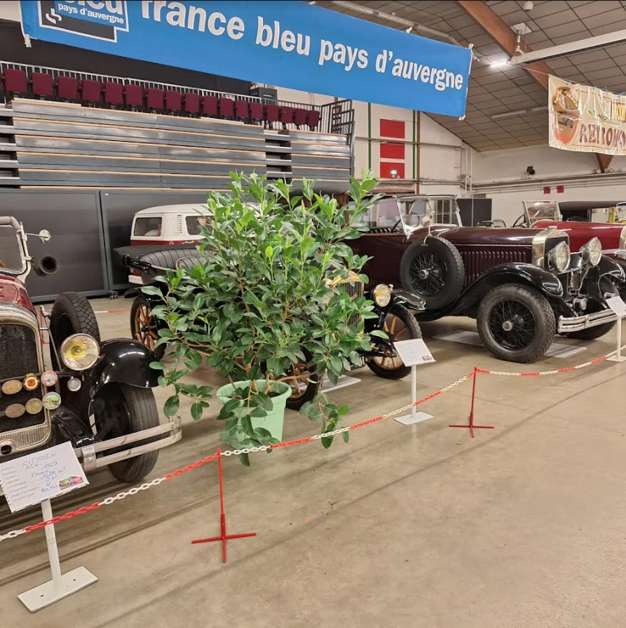 Chargé de la sécurité au salon rétro mobile à Cournon d&rsquo;Auvergne